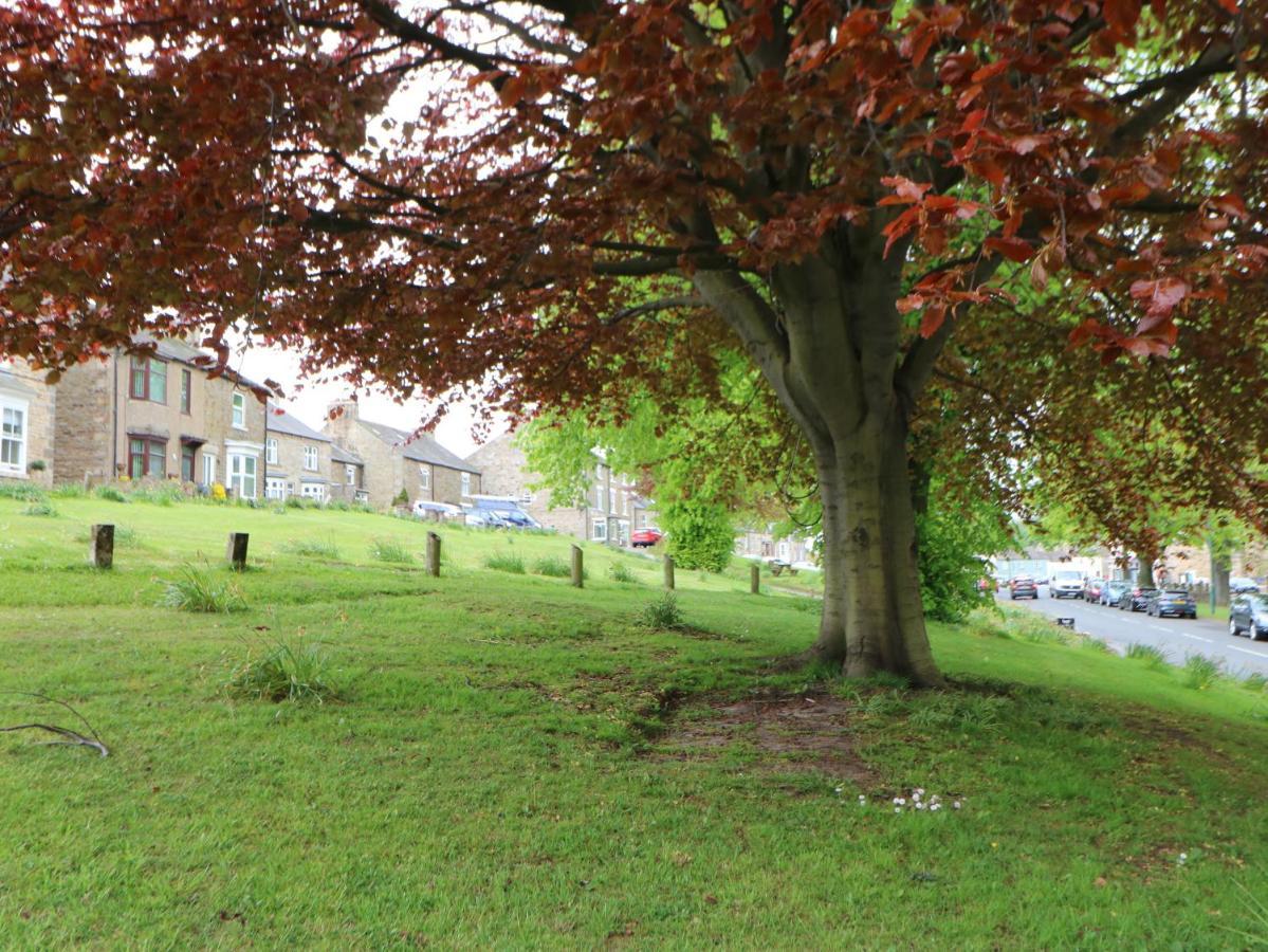 Langlands Villa Barnard Castle Dış mekan fotoğraf